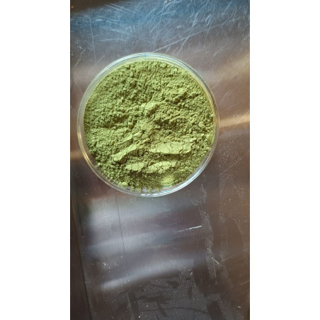 Wheat Grass Powder 