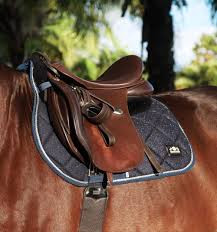 Saddlery and Equestrian Products