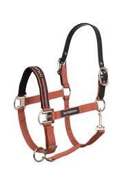 Halters