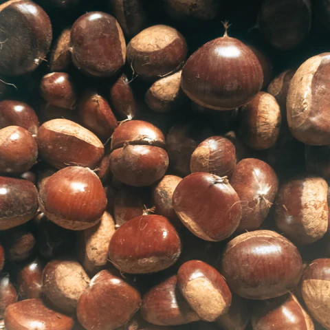 Chestnut