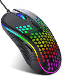 Computer Mouse