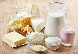 Dairy  Products