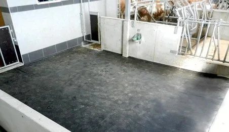 Calf housing