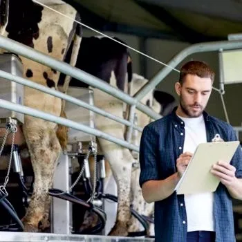 Assessor with a clipboard in a milking parlour